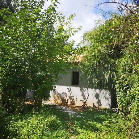 Villa Griseor 포르토베쉬오 외부 사진