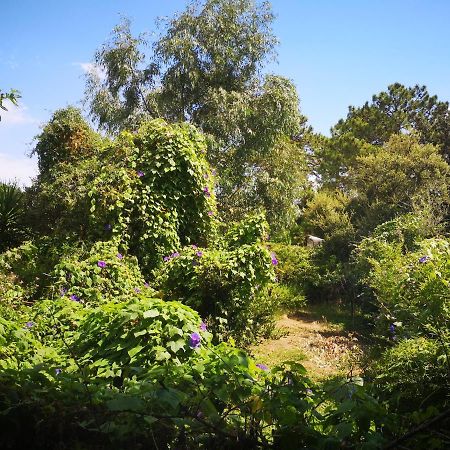 Villa Griseor 포르토베쉬오 외부 사진